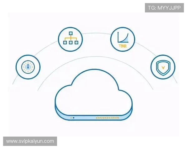 开云电子平台的安全性与稳定性分析，保障企业信息安全
