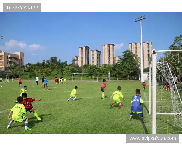 开云足球体育：举办多样化的足球文化活动，促进足球文化的传承与交流