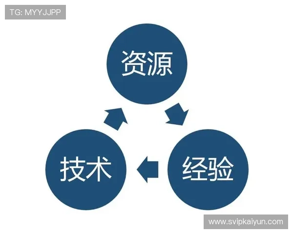 探讨开云中国在线与传统线下购物的区别与融合趋势 探讨开云中国在线与传统线下购物的区别与融合趋势