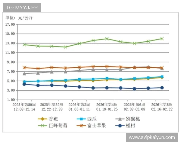 开云集团发展现状：2026年最新战略布局与市场表现分析